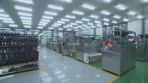 成武民營企業 揚帆出海，暢銷海內外市場
